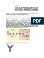 Maduración células plasmáticas