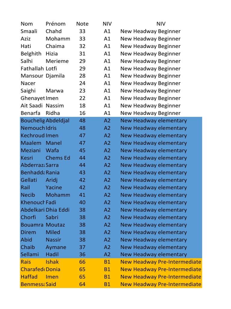 Manel Djaafar's Lev Test Results | PDF