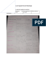 Tarea de Segundo Parcial Odontología