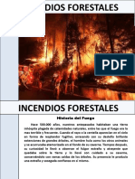 Curso Incendio Forestal.