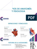 Anatomia