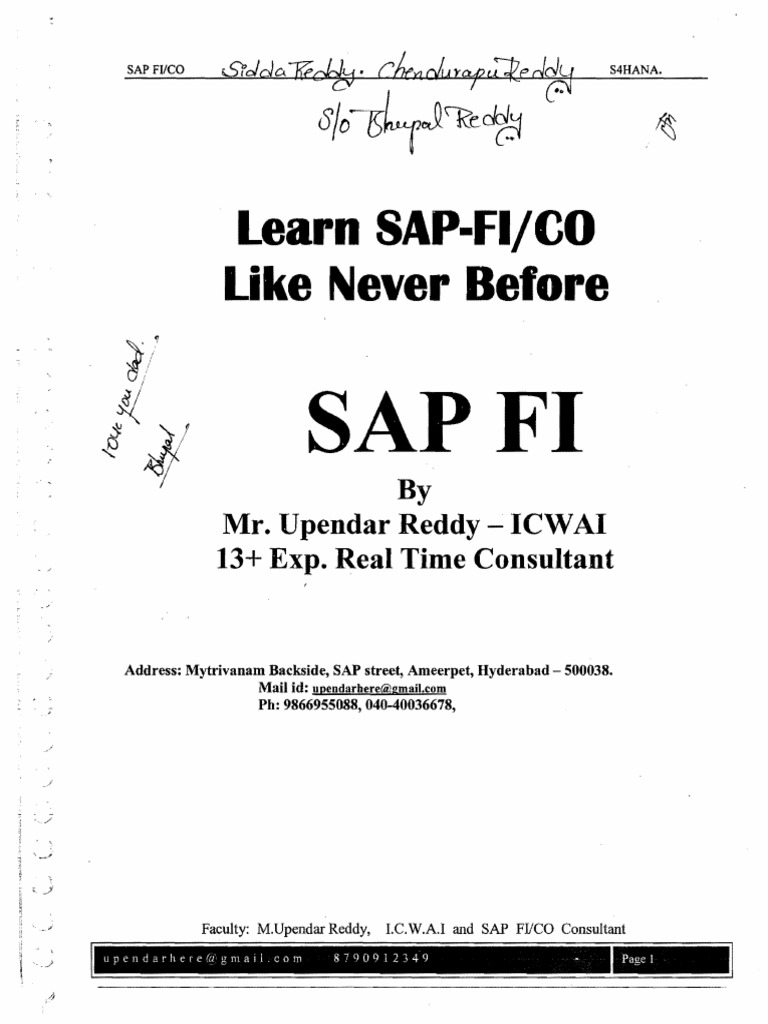 Learn Sap Fljco Like Never Before Sapfi Pdf Accounting Business