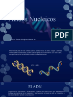 Acidos Nucleicos-Galvez Torres