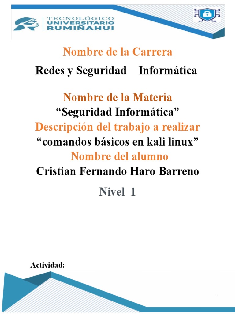 Seguridad Informatica Pdf
