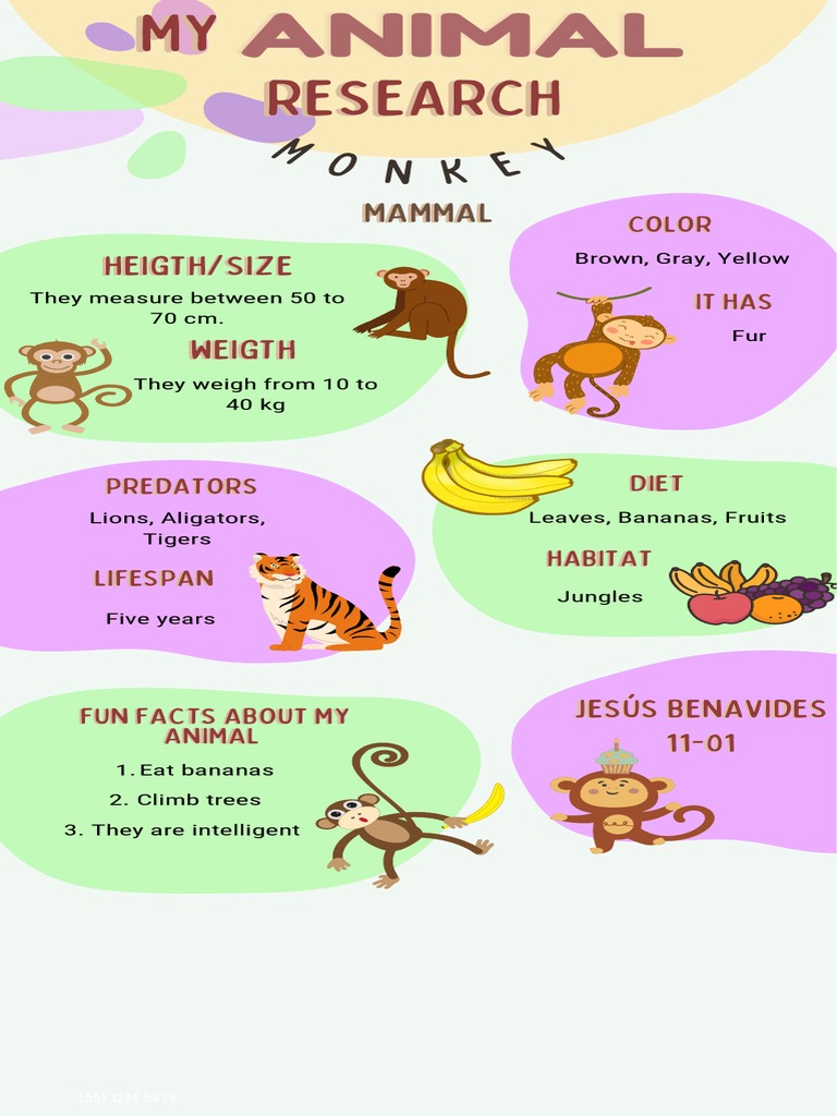 My Animal Research PDF