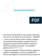 Format Des Fichier - Traitement de Texte