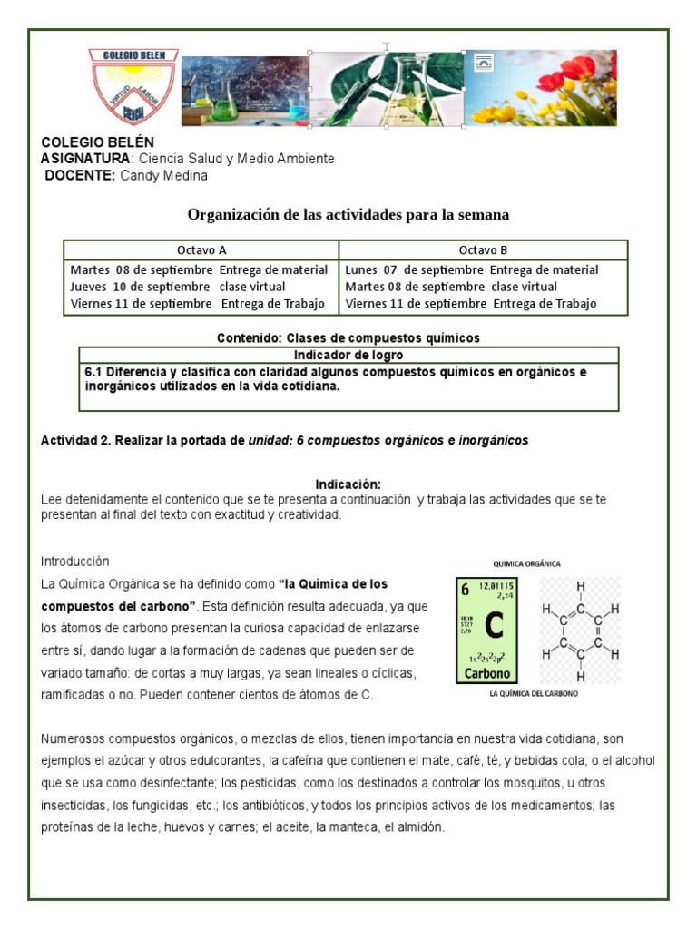 Compuestos Orgánicos e PDF Compuestos orgánicos