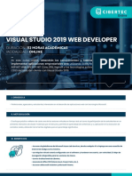 Visual Studio 2019 Web Developer (Online)