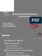 Bacula and The Windows Environment