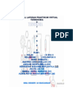 Format Laporan Virtual Termokimia