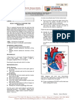 Heart and Kidney Dissection Worksheet