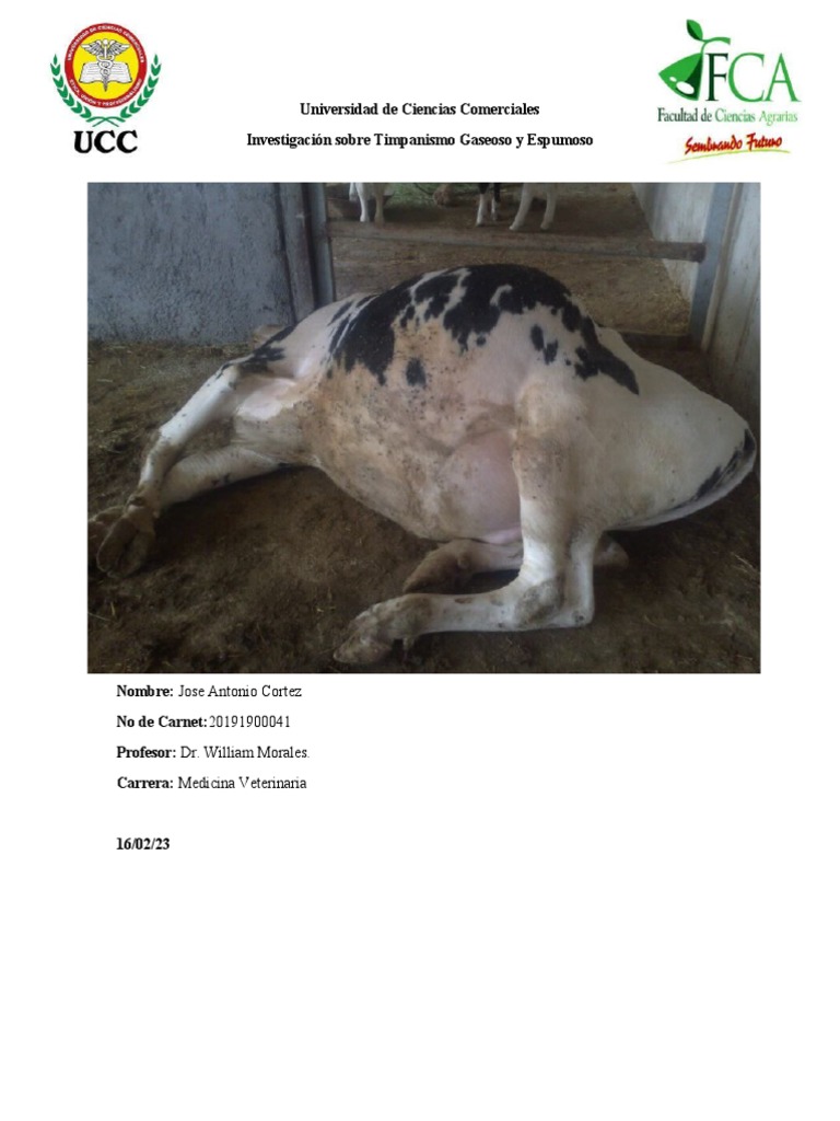 Timpanismo Jose Antonio Cortez PDF Medicina CLINICA