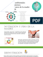 Influencias de Nutrición