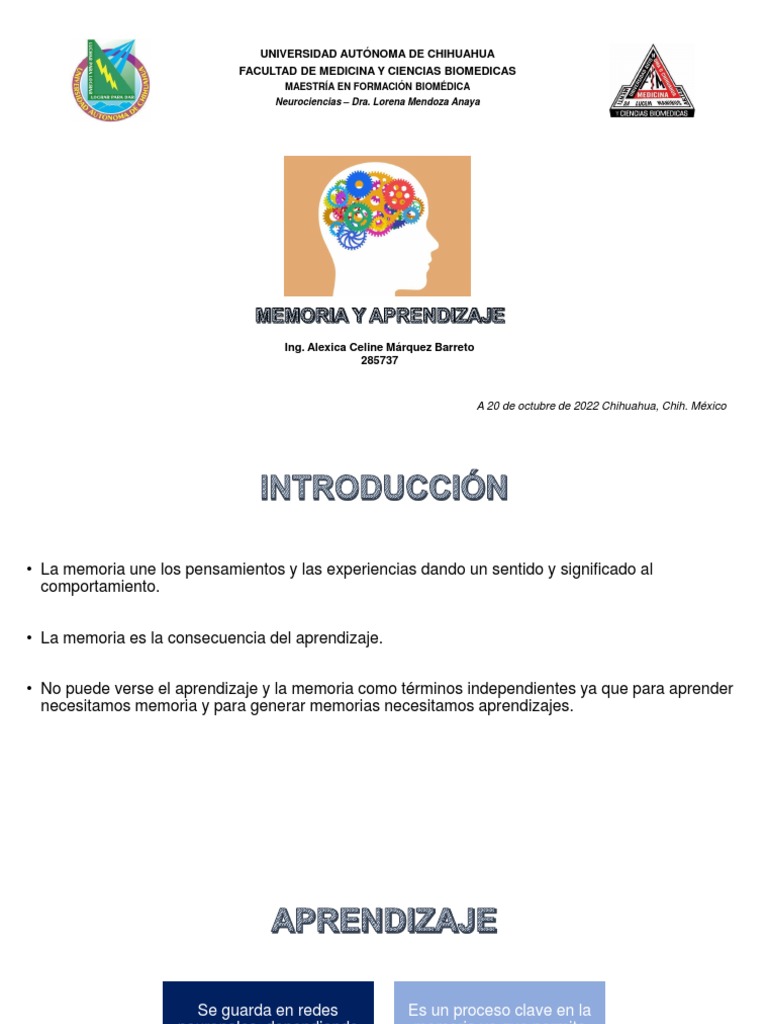 El (deity) visual data 2