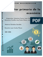 Sector Primario de La Economía (Trabajo Individual)