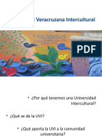 Universidad Veracruzana Intercultural