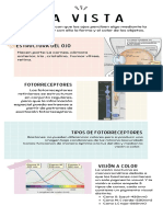 Infografía Guía de Principios Del Diseño Colores