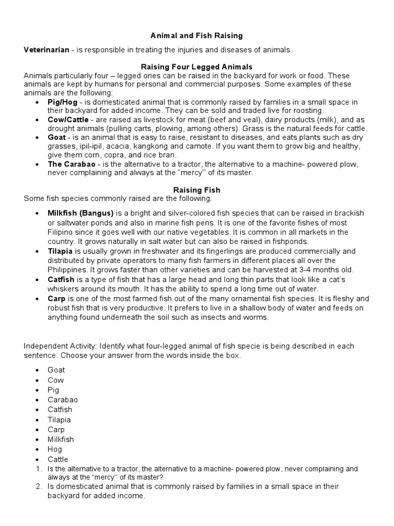 Raising Four-Legged Animals and Fish | PDF | Cattle | Dairy