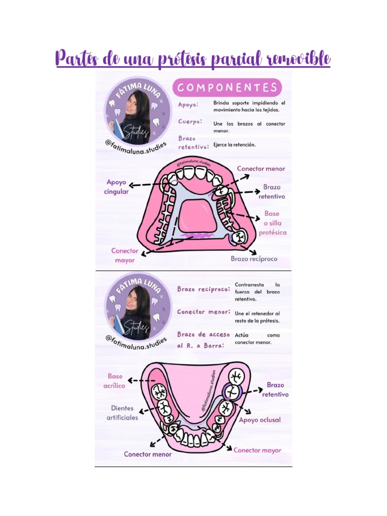 Partes de Un PPR PDF