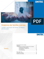 Unidad 7. Apicación de Terapia de Familia y Pareja