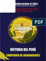 Historia Del Peru Ciclo Intensivo 2023