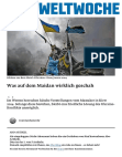 Research paper thumbnail of What really happened on the Maidan [Was auf dem Maidan wirklich geschah]