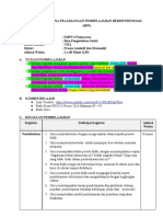 RPP Dwi Novita Sari