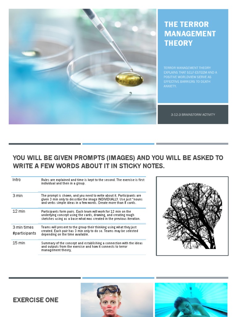 Understanding Terror Management Theory | PDF | Social Psychology ...