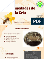 Enfermedades de La Cria