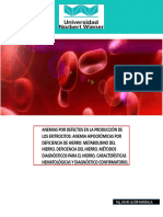 CLASE 2.1 Anemias Por Defectos en La Produccion de Hierro 2023.2