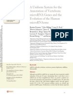 A Uniform System For The Annotation of Vertebrate MicroRNA Genes and The Evolution of The Human MicroRNAome