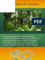 Amazon Rainforest Case Study