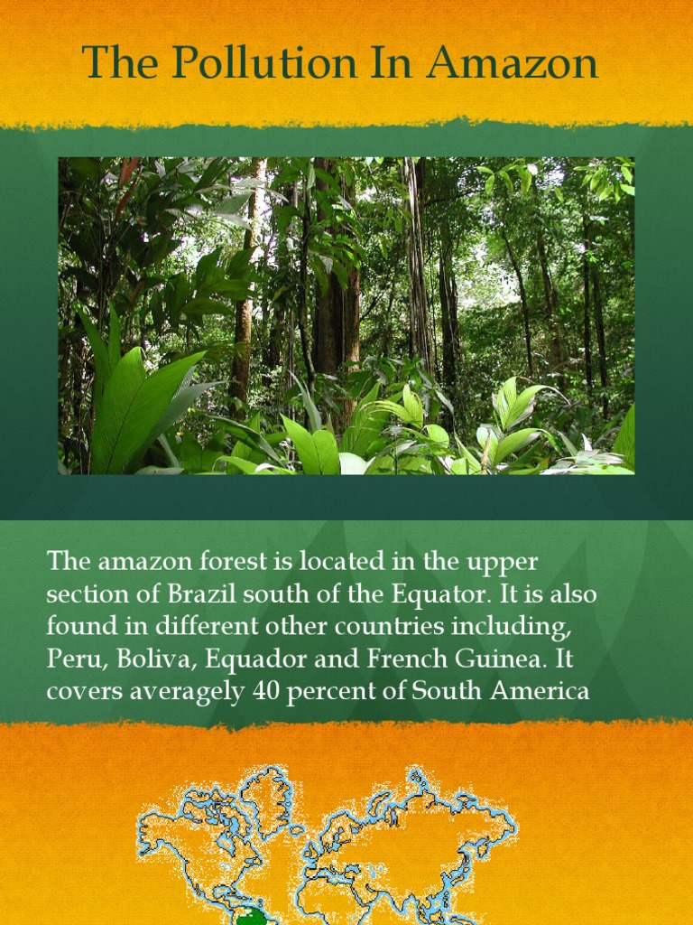 amazon rainforest case study bbc bitesize