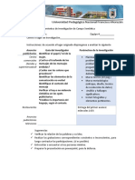 Lineamientos de Investigación de Campo Semiótica