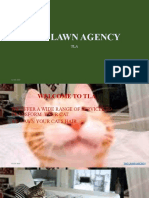 The Lawn Agency For Cats
