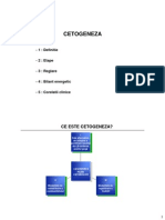 Curs2R ML Cetogeneza Handouts