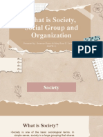 What is Society, Social Group and Organization in Indonesia