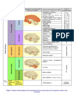 Tableau 5 Vesicules