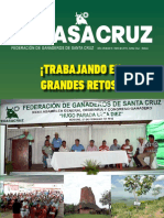 Revista Fegasacruz 6