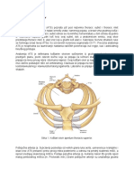 Apertura Thoracis Superior