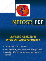 Meiosis Power Point