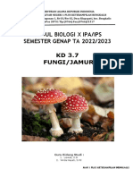 Modul 7 Fungi