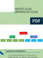 Moléculas (Biomoléculas)