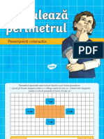 Perimetrul - Fixare Și Sistematizare