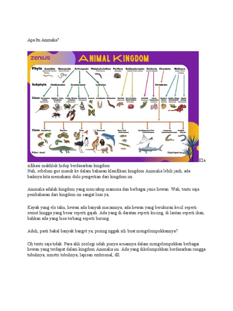 Materi Kingdom Animalia | PDF