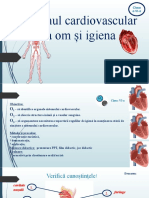 L 4.3. Sistemul Cardiovascular 1