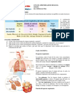 El Aparato Respiratorio