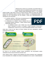 Ciencias Naturales 2 Clases