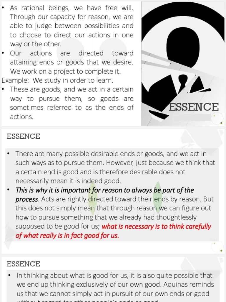 Understanding Aquinas On Law And Reason Pdf Thomas Aquinas Reason