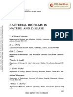 Biofilm Definizione - Costerton 1987